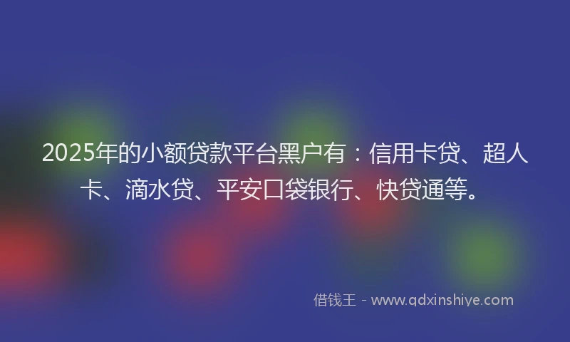 2025年的小额贷款平台黑户有：信用卡贷、超人卡、滴水贷、平安口袋银行、快贷通等。
