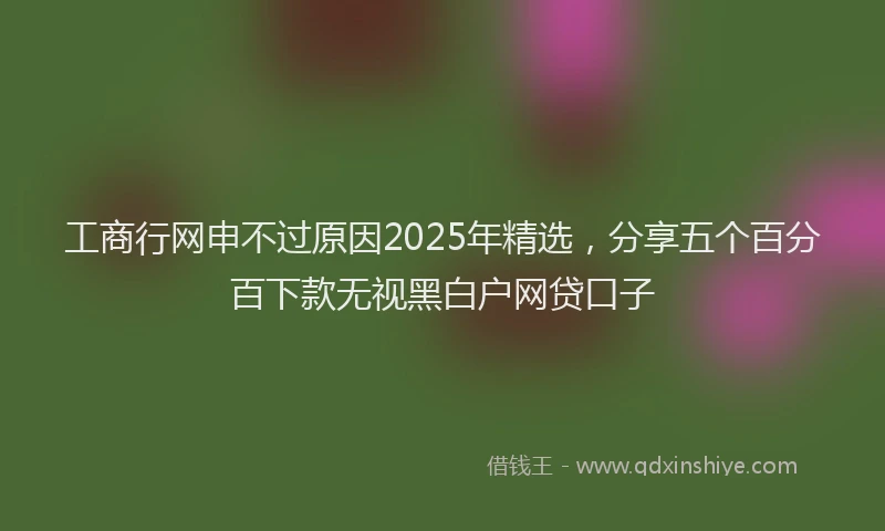 工商行网申不过原因2025年精选，分享五个百分百下款无视黑白户网贷口子