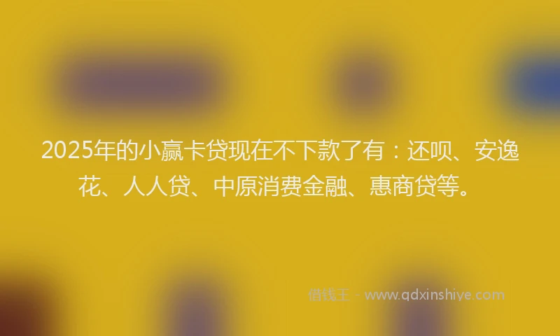 2025年的小赢卡贷现在不下款了有：还呗、安逸花、人人贷、中原消费金融、惠商贷等。