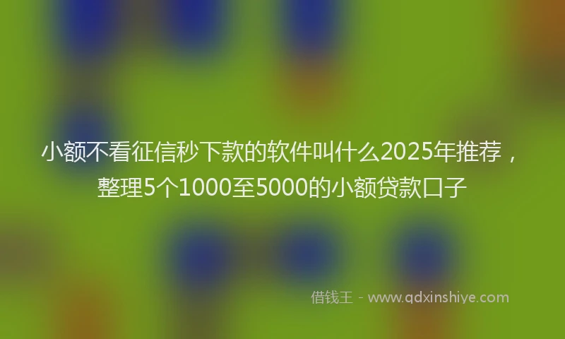小额不看征信秒下款的软件叫什么2025年推荐，整理5个1000至5000的小额贷款口子