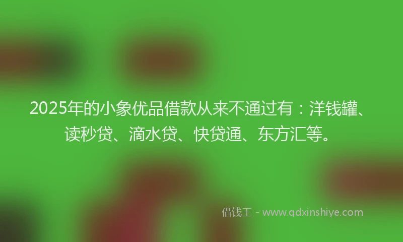 2025年的小象优品借款从来不通过有：洋钱罐、读秒贷、滴水贷、快贷通、东方汇等。