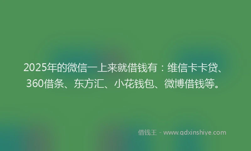 2025年的微信一上来就借钱有：维信卡卡贷、360借条、东方汇、小花钱包、微博借钱等。