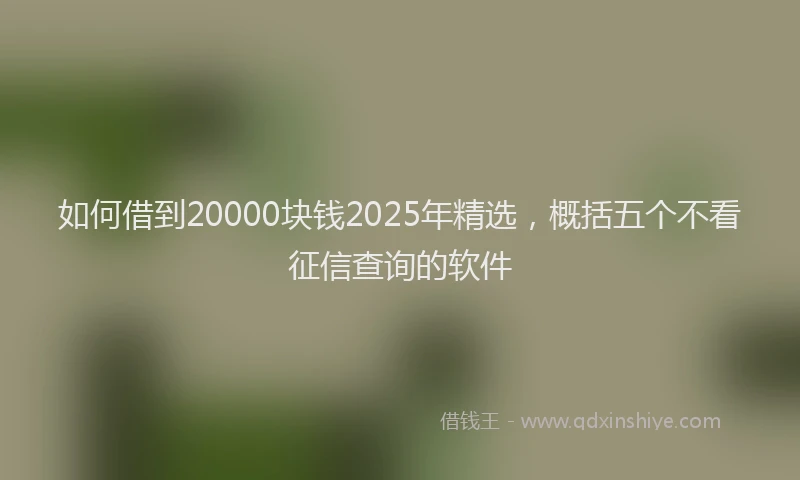 如何借到20000块钱2025年精选，概括五个不看征信查询的软件