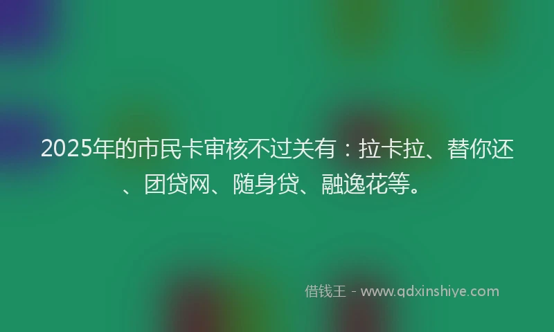 2025年的市民卡审核不过关有：拉卡拉、替你还、团贷网、随身贷、融逸花等。