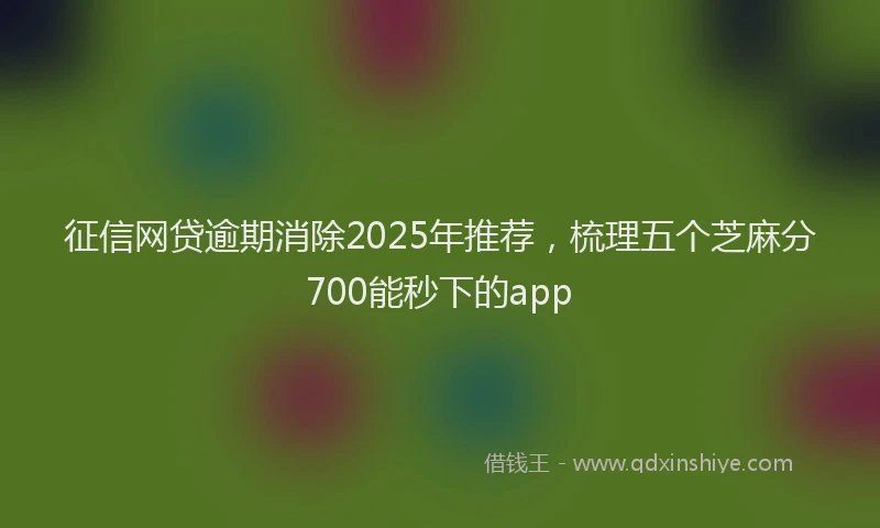 征信网贷逾期消除2025年推荐，梳理五个芝麻分700能秒下的app