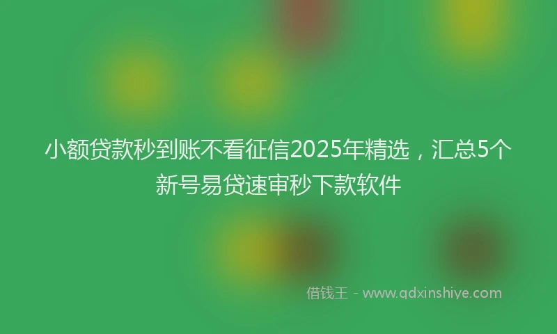 小额贷款秒到账不看征信2025年精选，汇总5个新号易贷速审秒下款软件
