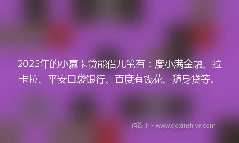 2025年的小赢卡贷能借几笔有：度小满金融、拉卡拉、平安口袋银行、百度有钱花、随身贷等。