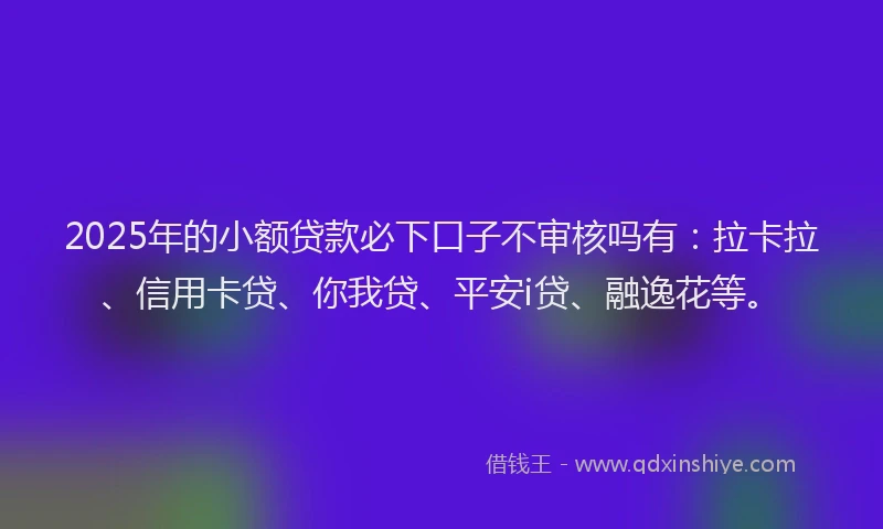2025年的小额贷款必下口子不审核吗有：拉卡拉、信用卡贷、你我贷、平安i贷、融逸花等。