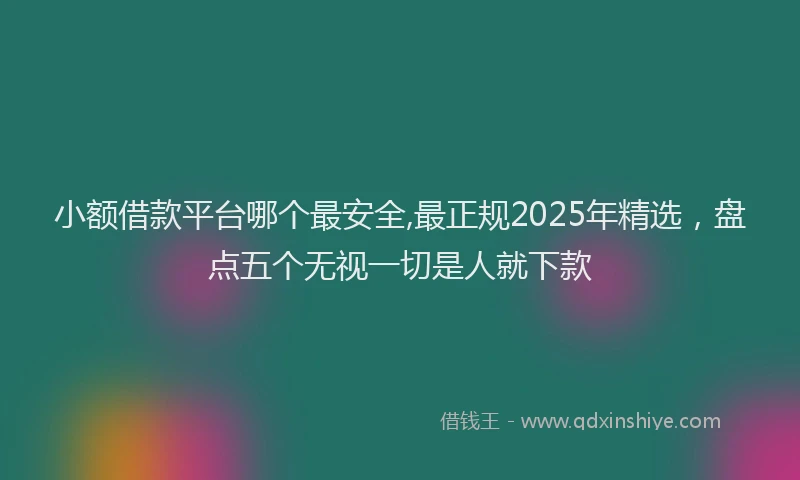小额借款平台哪个最安全,最正规2025年精选，盘点五个无视一切是人就下款