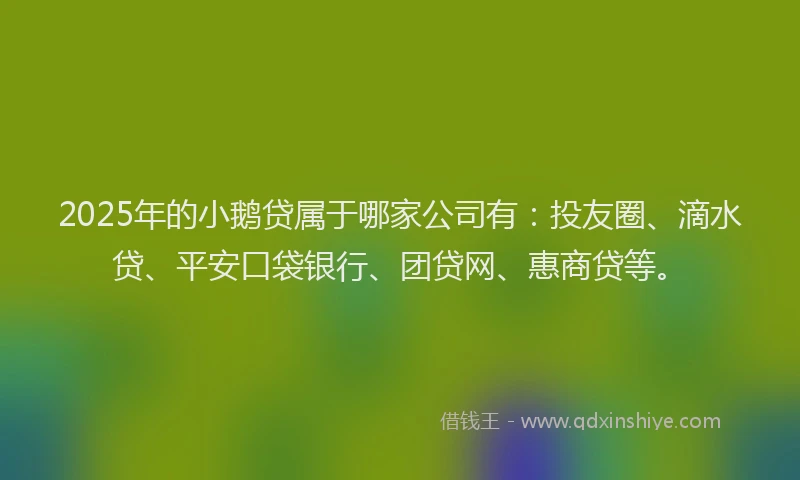 2025年的小鹅贷属于哪家公司有：投友圈、滴水贷、平安口袋银行、团贷网、惠商贷等。