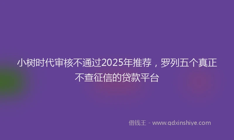 小树时代审核不通过2025年推荐，罗列五个真正不查征信的贷款平台
