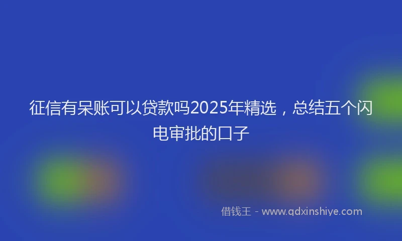 征信有呆账可以贷款吗2025年精选，总结五个闪电审批的口子