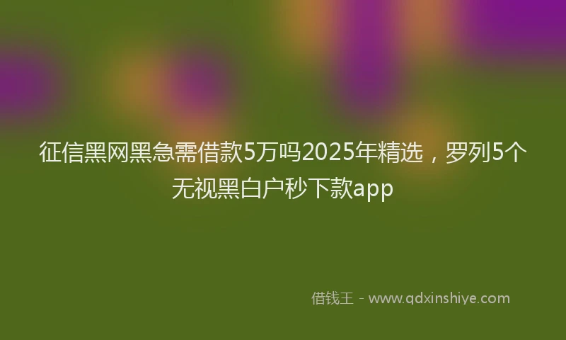 征信黑网黑急需借款5万吗2025年精选，罗列5个无视黑白户秒下款app