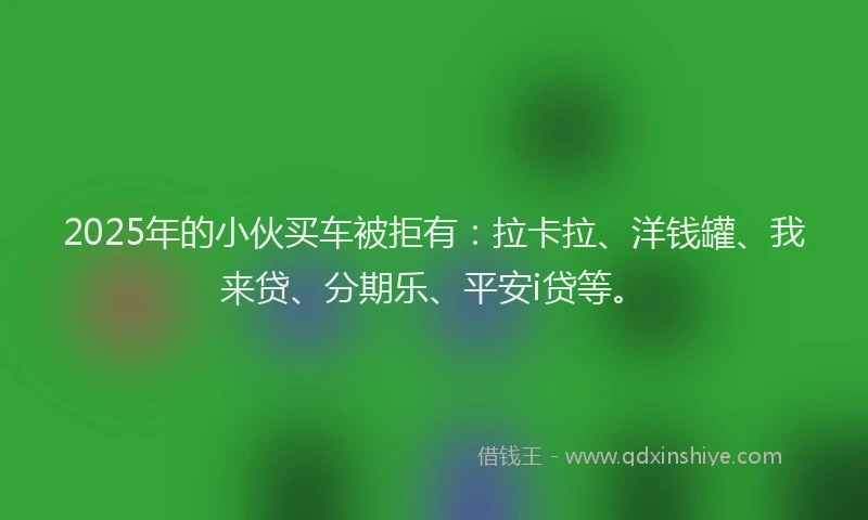 2025年的小伙买车被拒有：拉卡拉、洋钱罐、我来贷、分期乐、平安i贷等。