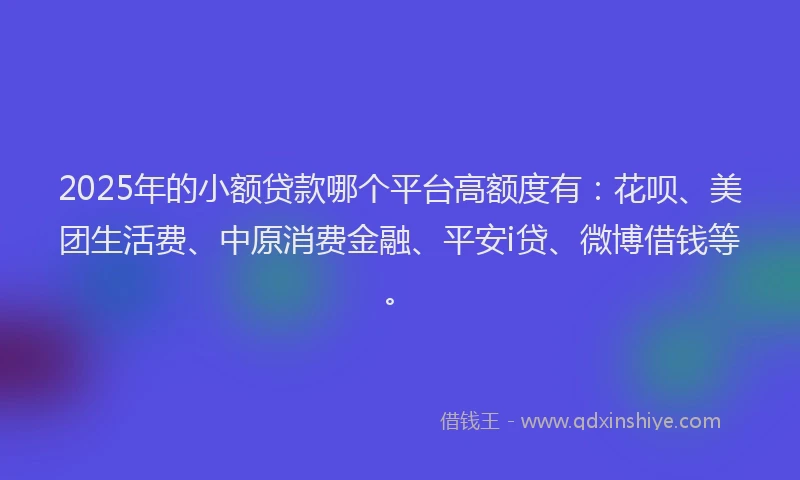 2025年的小额贷款哪个平台高额度有：花呗、美团生活费、中原消费金融、平安i贷、微博借钱等。