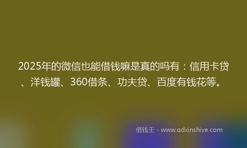 2025年的微信也能借钱嘛是真的吗有：信用卡贷、洋钱罐、360借条、功夫贷、百度有钱花等。