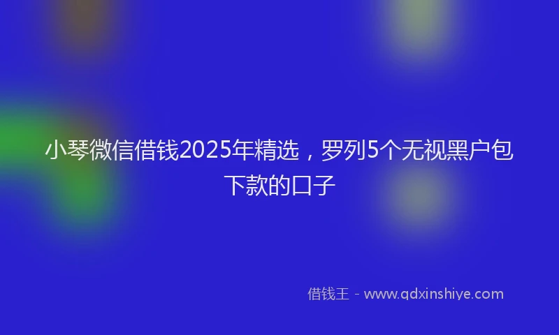 小琴微信借钱2025年精选，罗列5个无视黑户包下款的口子
