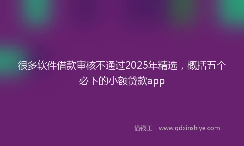 很多软件借款审核不通过2025年精选，概括五个必下的小额贷款app