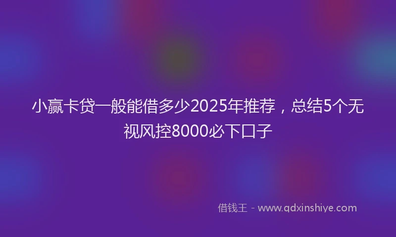 小赢卡贷一般能借多少2025年推荐，总结5个无视风控8000必下口子