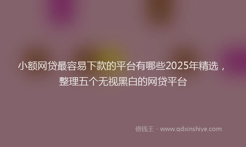 小额网贷最容易下款的平台有哪些2025年精选，整理五个无视黑白的网贷平台