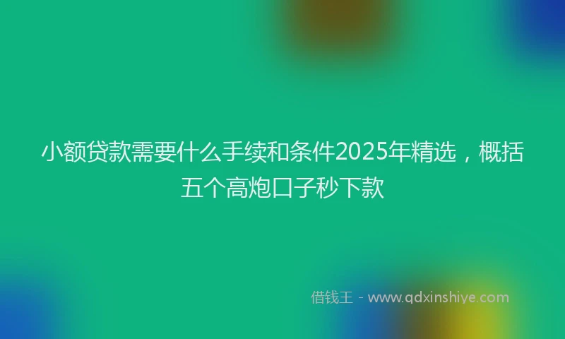 小额贷款需要什么手续和条件2025年精选，概括五个高炮口子秒下款