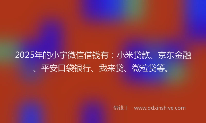 2025年的小宇微信借钱有：小米贷款、京东金融、平安口袋银行、我来贷、微粒贷等。