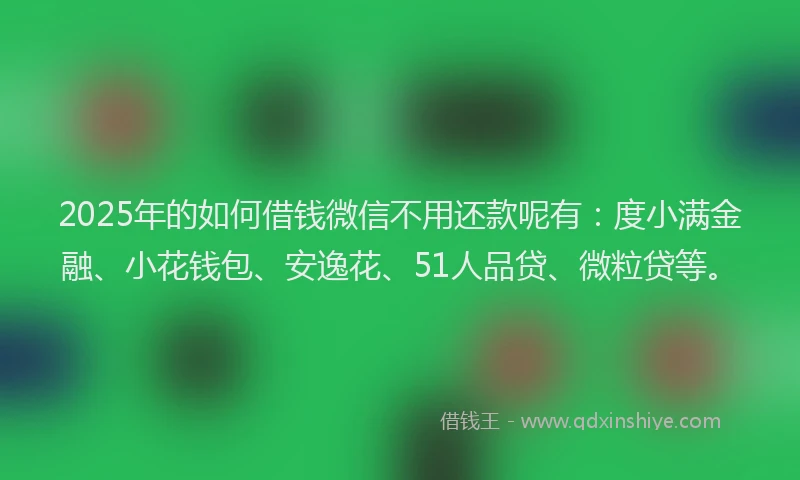 2025年的如何借钱微信不用还款呢有：度小满金融、小花钱包、安逸花、51人品贷、微粒贷等。