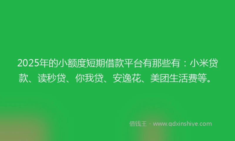 2025年的小额度短期借款平台有那些有：小米贷款、读秒贷、你我贷、安逸花、美团生活费等。