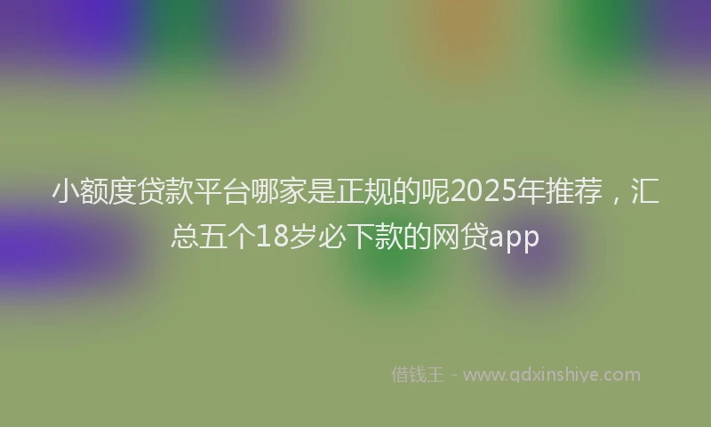 小额度贷款平台哪家是正规的呢2025年推荐，汇总五个18岁必下款的网贷app