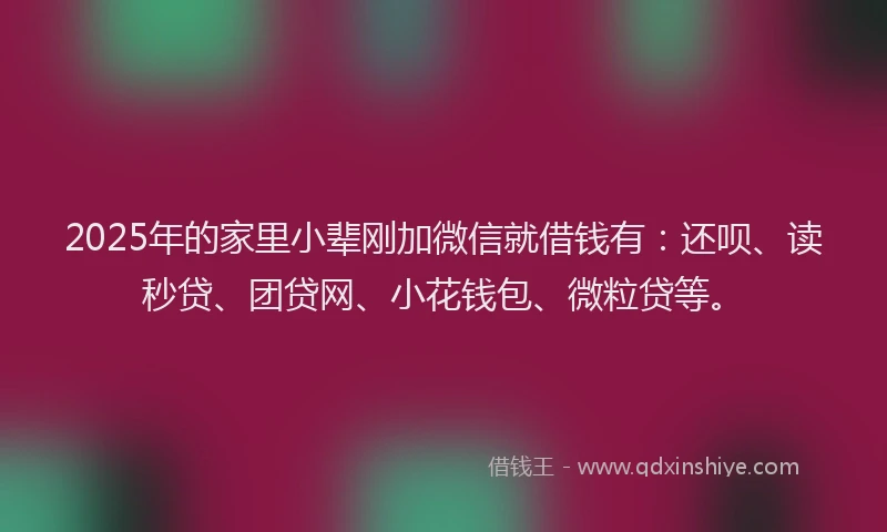 2025年的家里小辈刚加微信就借钱有：还呗、读秒贷、团贷网、小花钱包、微粒贷等。