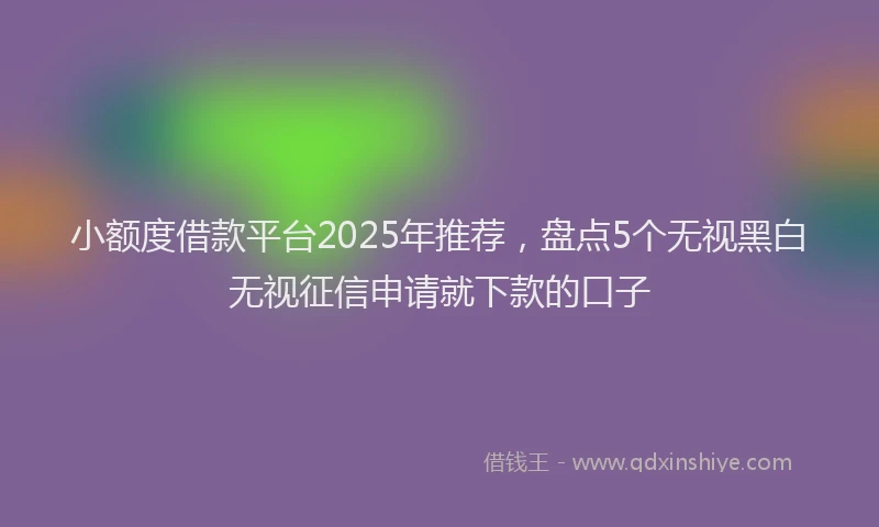 小额度借款平台2025年推荐，盘点5个无视黑白无视征信申请就下款的口子