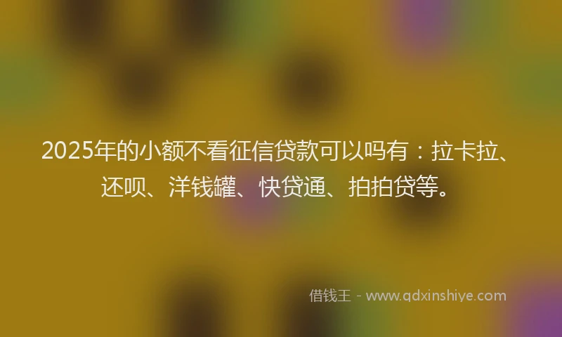 2025年的小额不看征信贷款可以吗有：拉卡拉、还呗、洋钱罐、快贷通、拍拍贷等。