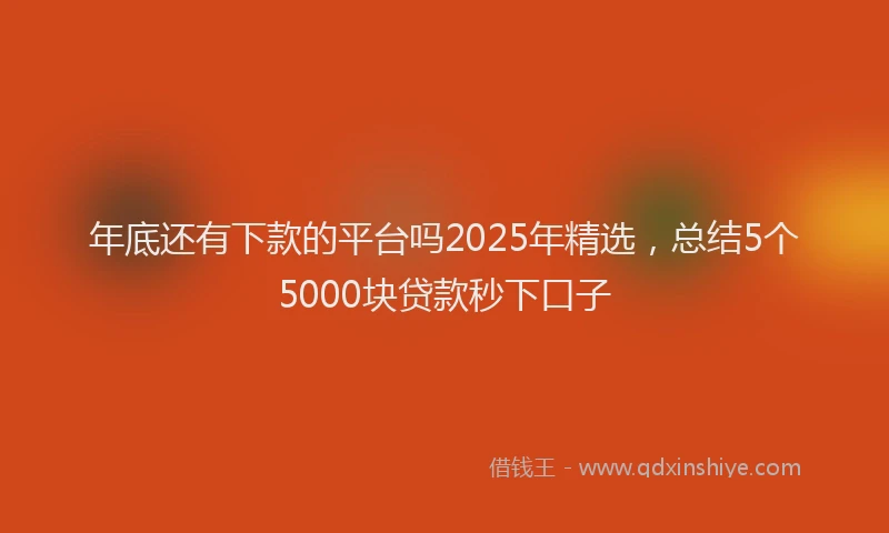 年底还有下款的平台吗2025年精选，总结5个5000块贷款秒下口子