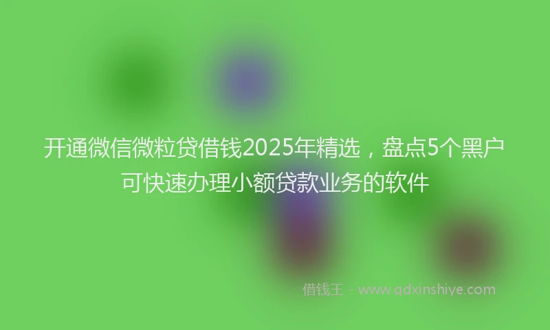 开通微信微粒贷借钱2025年精选，盘点5个黑户可快速办理小额贷款业务的软件