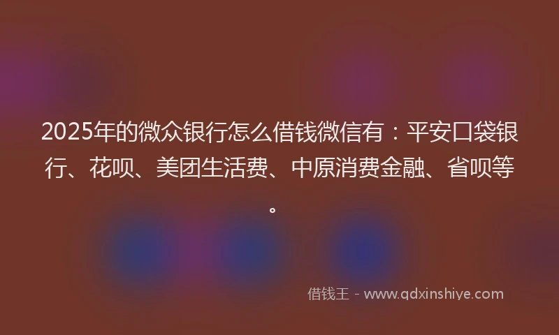 2025年的微众银行怎么借钱微信有：平安口袋银行、花呗、美团生活费、中原消费金融、省呗等。