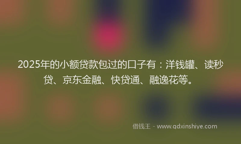 2025年的小额贷款包过的口子有：洋钱罐、读秒贷、京东金融、快贷通、融逸花等。