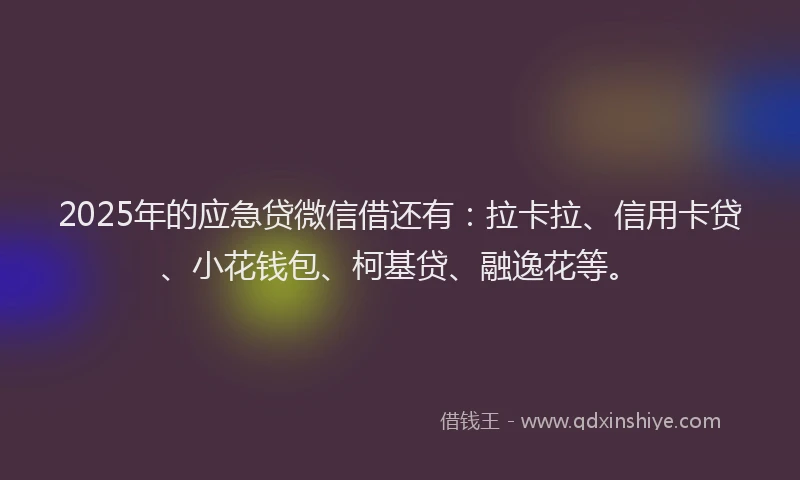 2025年的应急贷微信借还有：拉卡拉、信用卡贷、小花钱包、柯基贷、融逸花等。