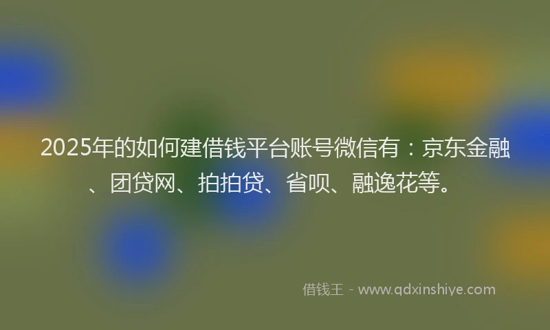 2025年的如何建借钱平台账号微信有：京东金融、团贷网、拍拍贷、省呗、融逸花等。
