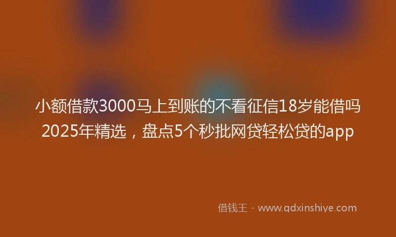 小额借款3000马上到账的不看征信18岁能借吗2025年精选，盘点5个秒批网贷轻松贷的app