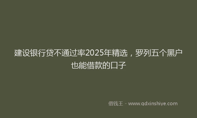 建设银行贷不通过率2025年精选，罗列五个黑户也能借款的口子