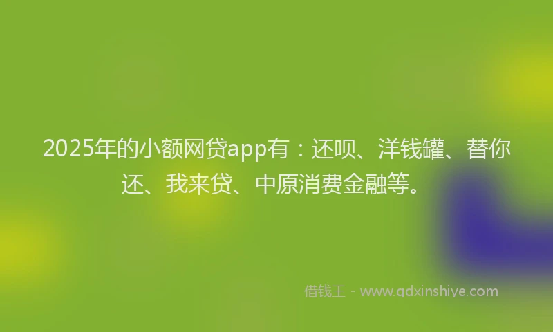 2025年的小额网贷app有：还呗、洋钱罐、替你还、我来贷、中原消费金融等。