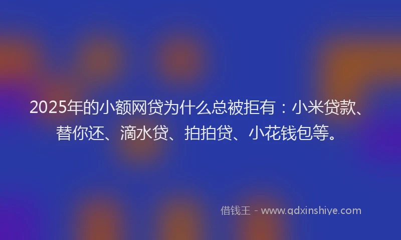 2025年的小额网贷为什么总被拒有：小米贷款、替你还、滴水贷、拍拍贷、小花钱包等。
