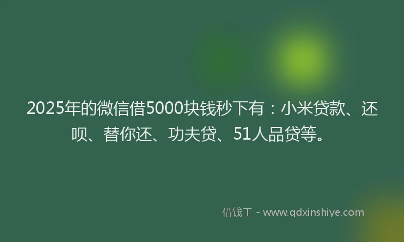 2025年的微信借5000块钱秒下有：小米贷款、还呗、替你还、功夫贷、51人品贷等。