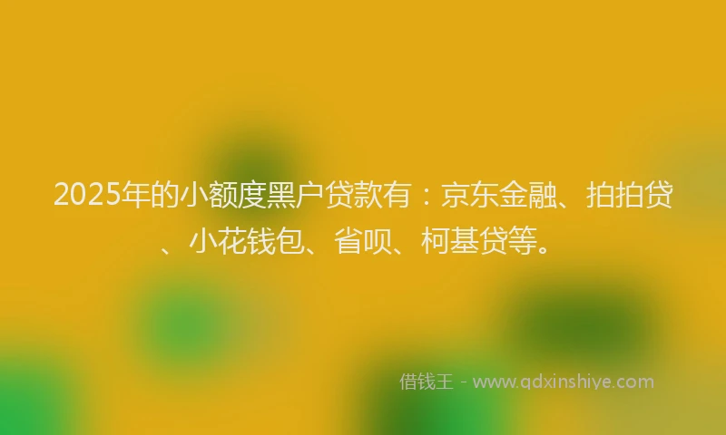 2025年的小额度黑户贷款有：京东金融、拍拍贷、小花钱包、省呗、柯基贷等。