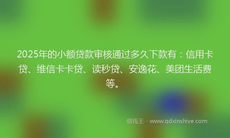 2025年的小额贷款审核通过多久下款有：信用卡贷、维信卡卡贷、读秒贷、安逸花、美团生活费等。