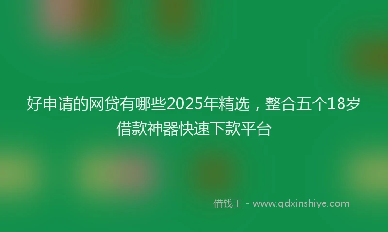 好申请的网贷有哪些2025年精选，整合五个18岁借款神器快速下款平台