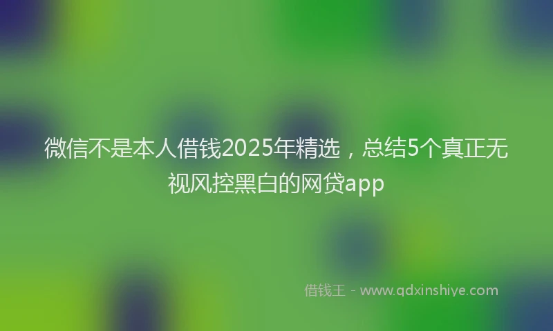 微信不是本人借钱2025年精选，总结5个真正无视风控黑白的网贷app