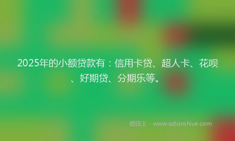 2025年的小额贷款有：信用卡贷、超人卡、花呗、好期贷、分期乐等。