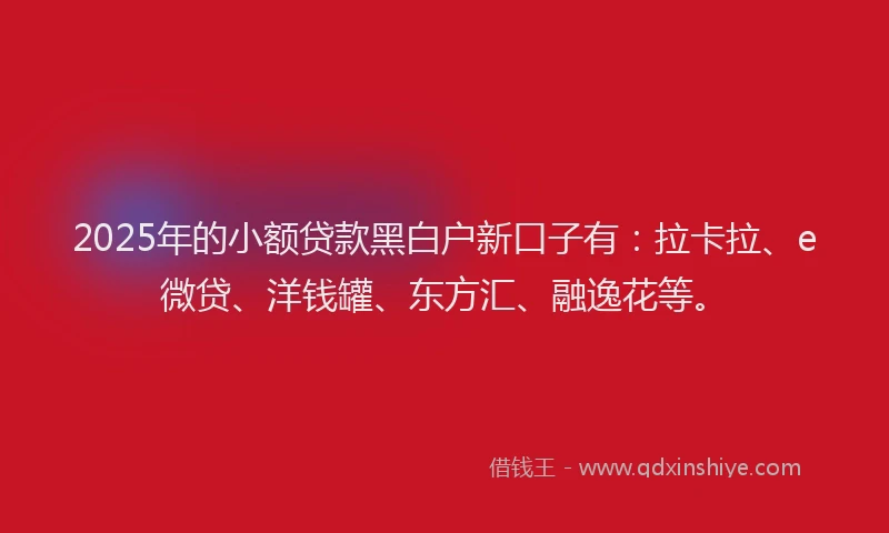 2025年的小额贷款黑白户新口子有：拉卡拉、e微贷、洋钱罐、东方汇、融逸花等。