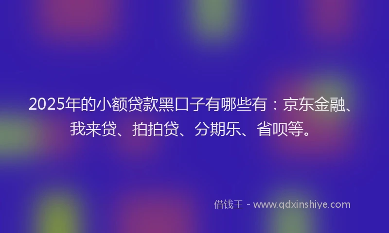 2025年的小额贷款黑口子有哪些有：京东金融、我来贷、拍拍贷、分期乐、省呗等。